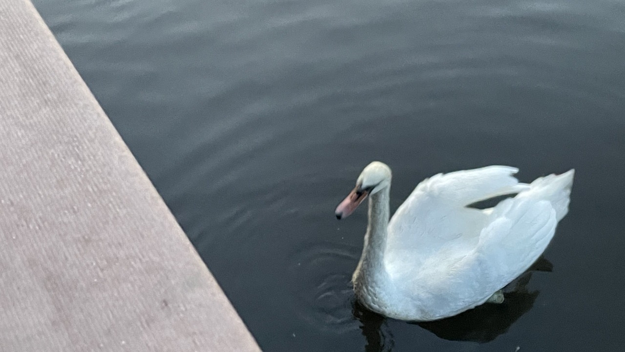 Photo of Others in Beach Haven West