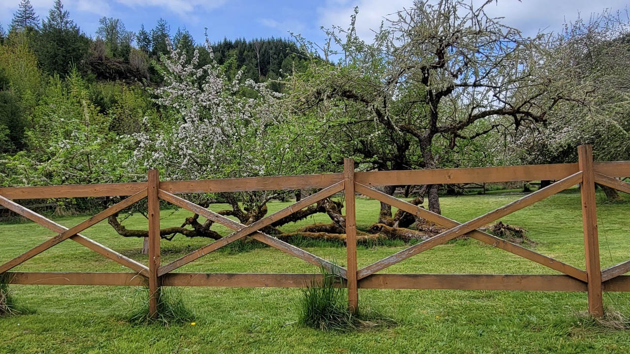 Photo of Outdoor in Randle
