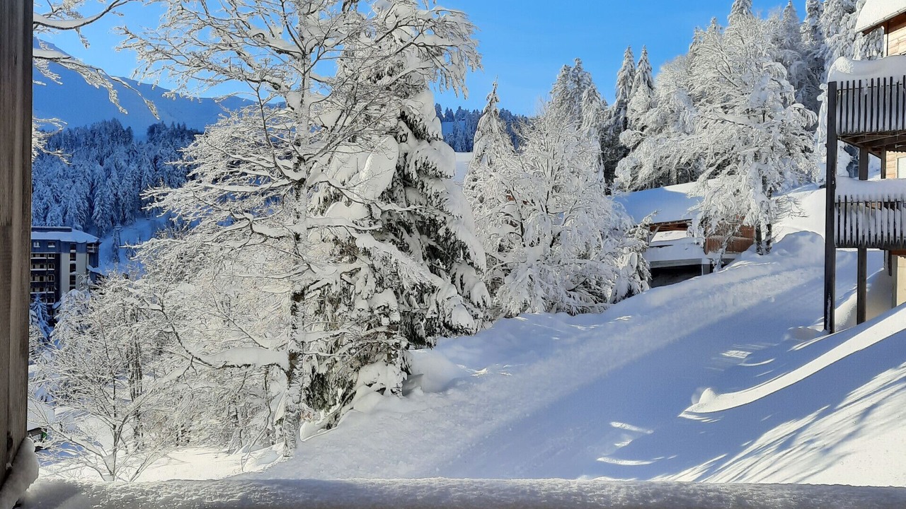Photo of Outdoor in Laveissiere