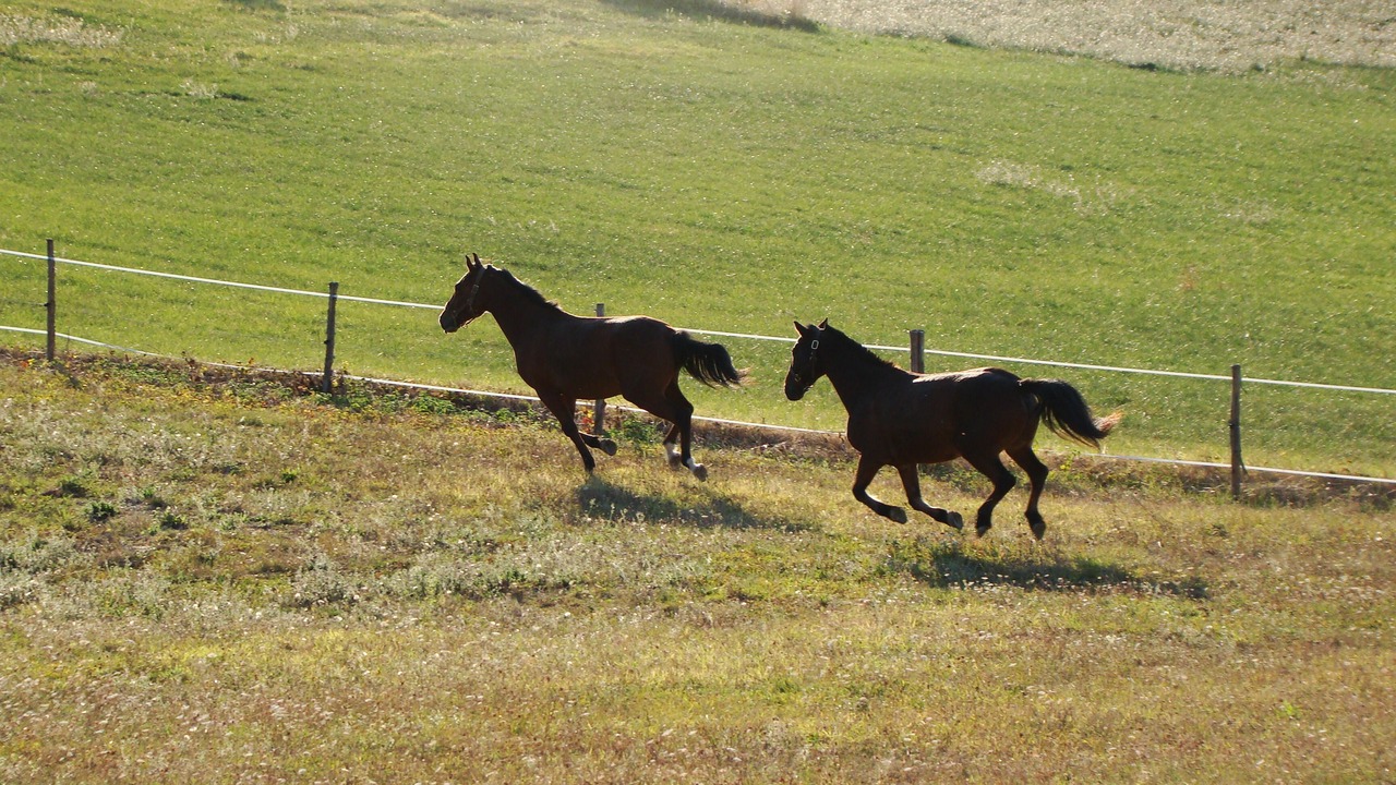 Photo of Outdoor in Brugnac