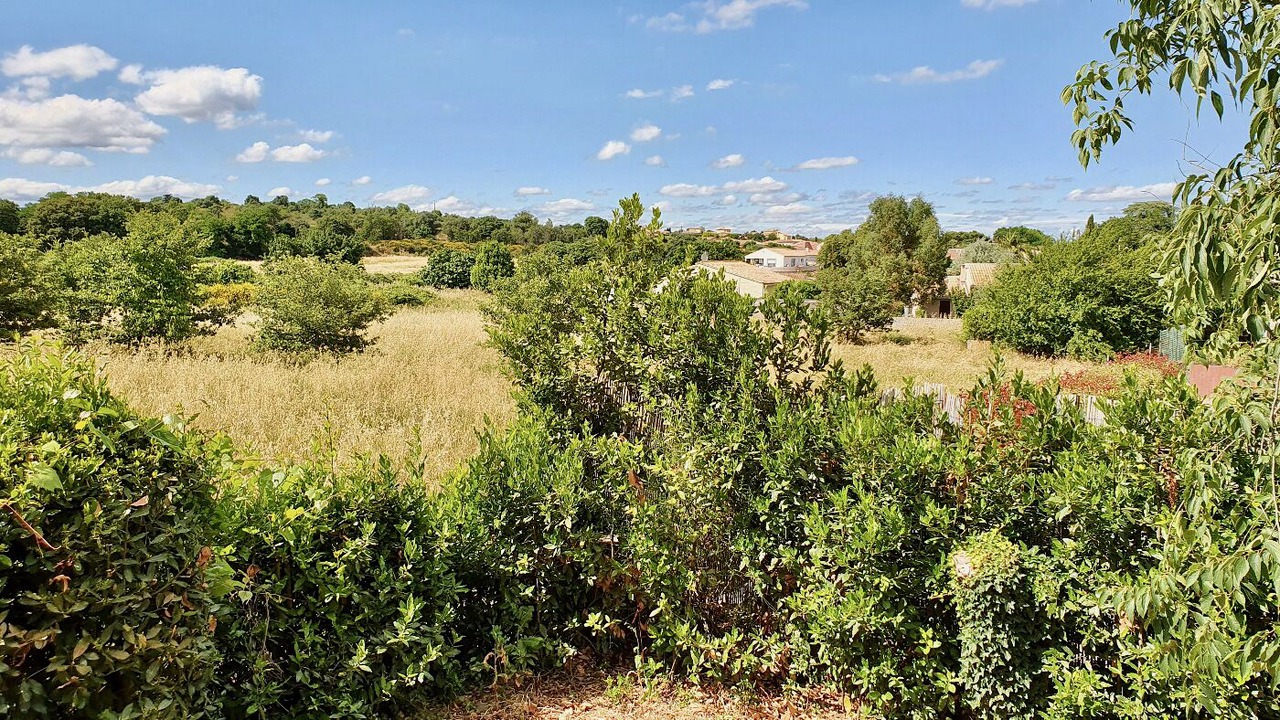 Photo of Others in Nizas