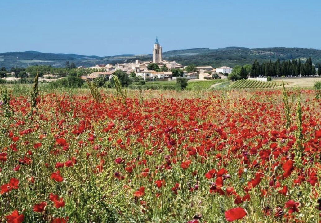 Photo of Outdoor in Nizas