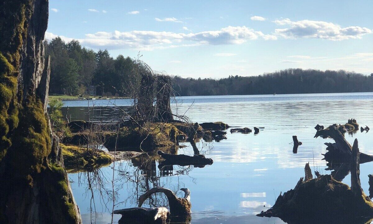 Photo of Outdoor in Broadalbin