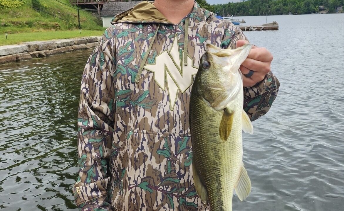 Photo of Outdoor in Redwood