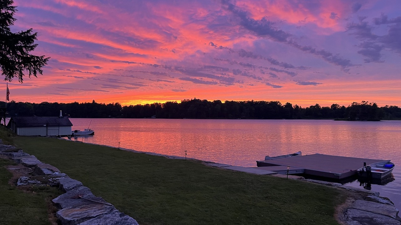 Photo of Others in Redwood