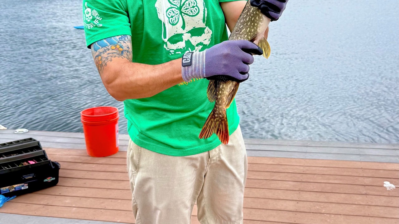 Photo of Others in Redwood