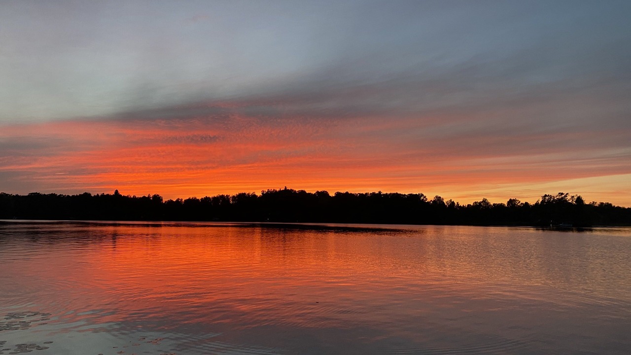 Photo of Others in Redwood