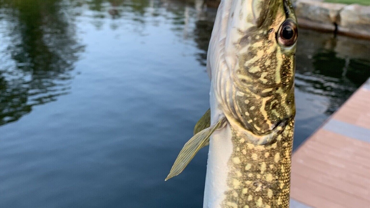 Photo of Outdoor in Redwood