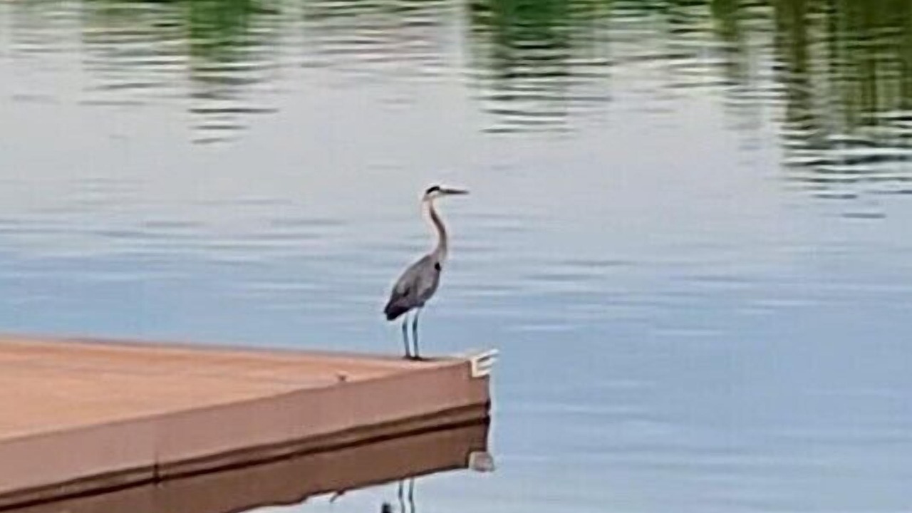 Photo of Others in Redwood