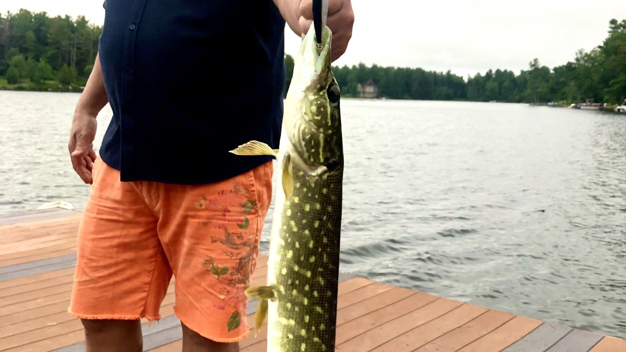 Photo of Outdoor in Redwood