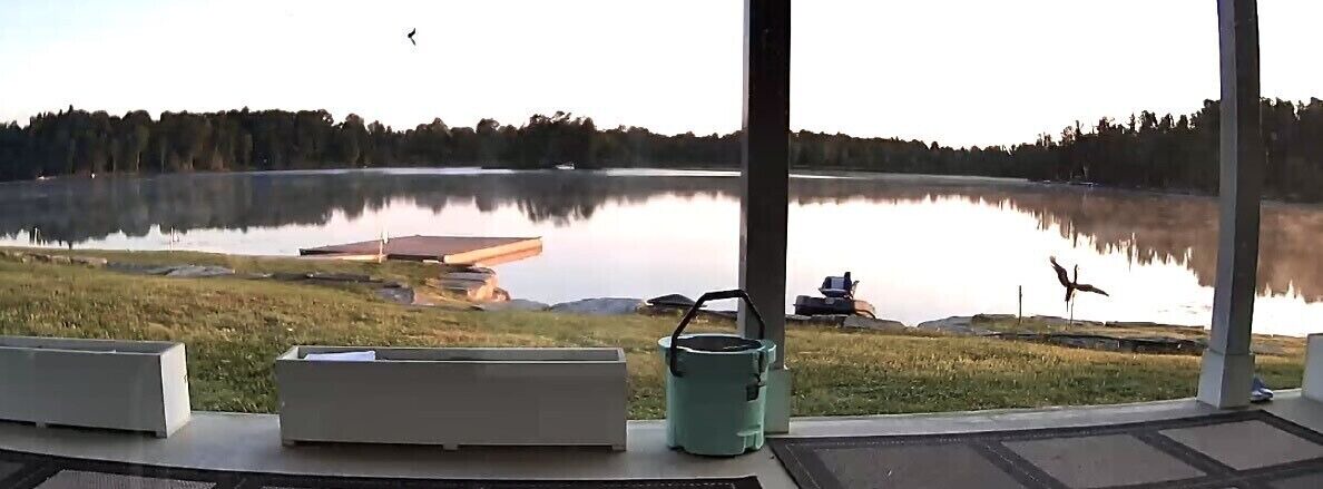 Photo of Others in Redwood