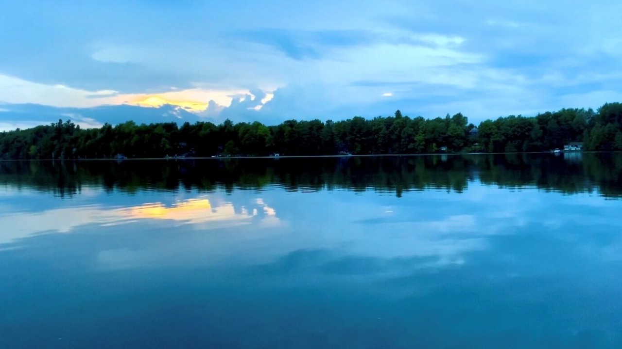 Photo of Others in Redwood