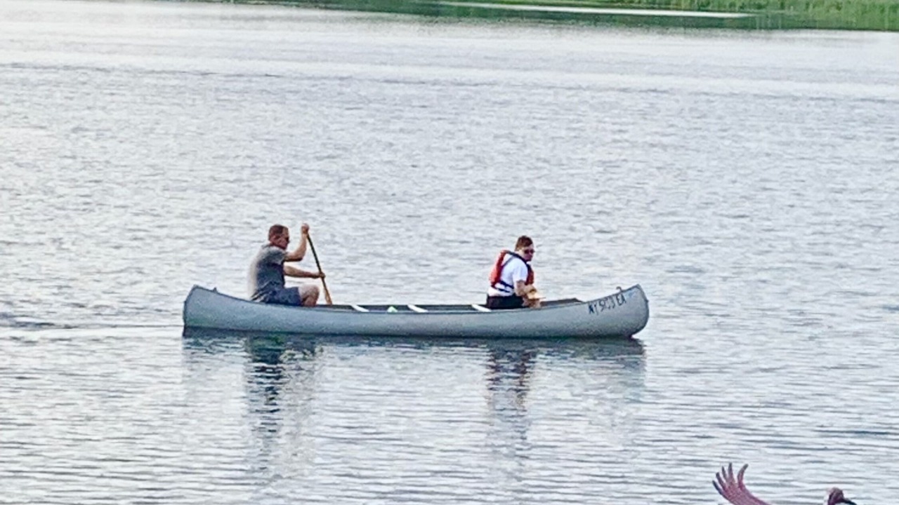 Photo of Others in Redwood