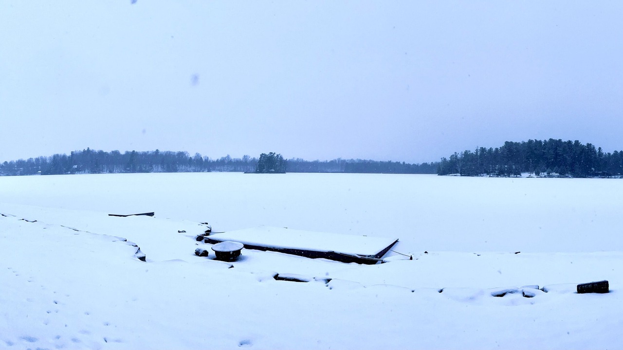 Photo of Others in Redwood