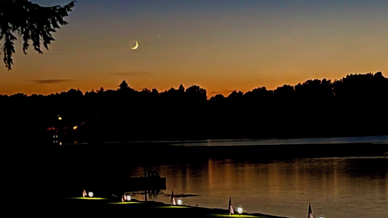 Photo of Others in Redwood