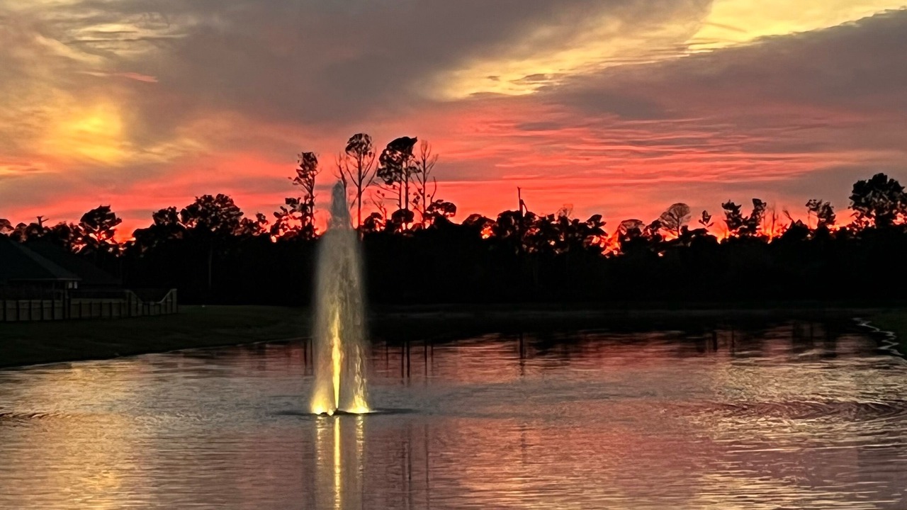 Photo of Others in Lake Charles
