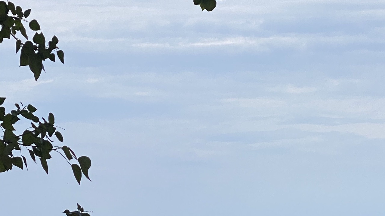 Photo of Others in Borgo