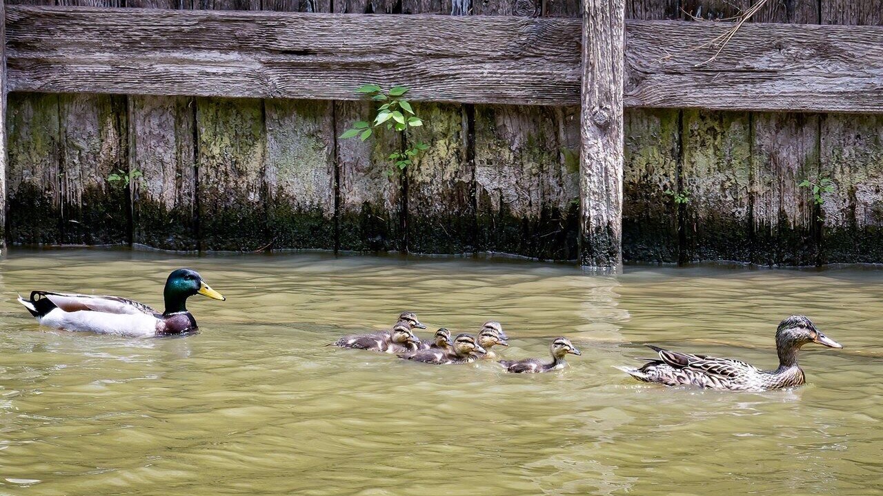 Photo of Others in Gun Barrel City