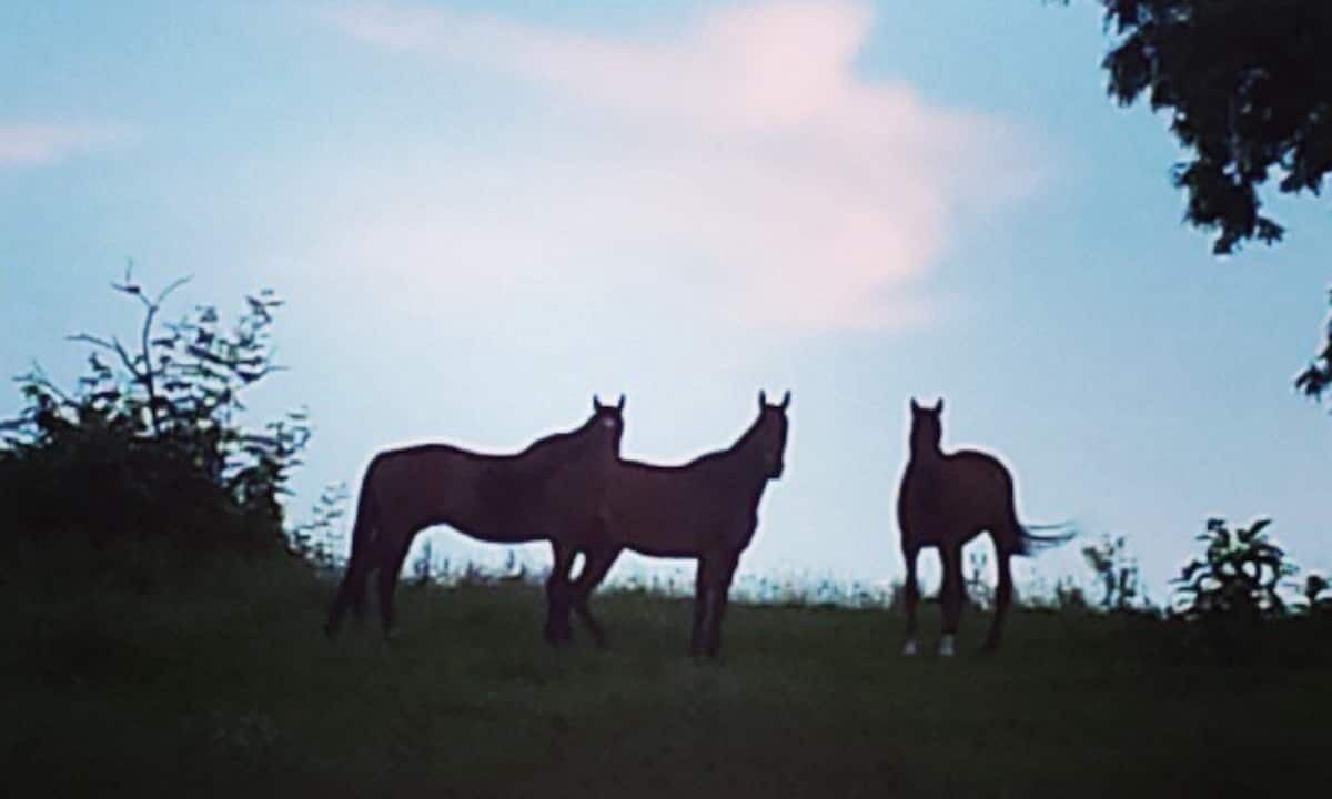 Photo of Outdoor in Ono