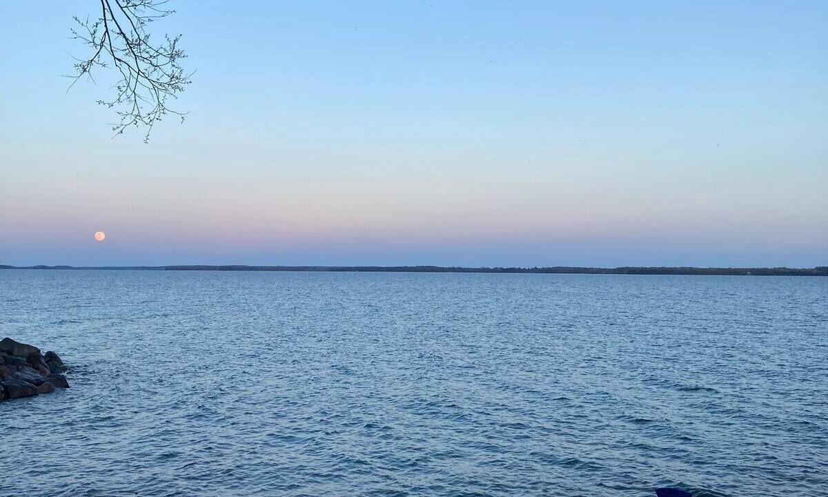 Photo of Others in Howe Island