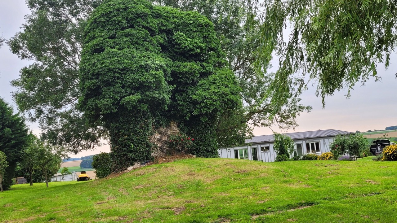 Photo of Outdoor in Neuilly-l'Hopital