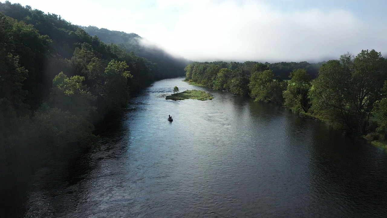 Photo of Others in Bristol