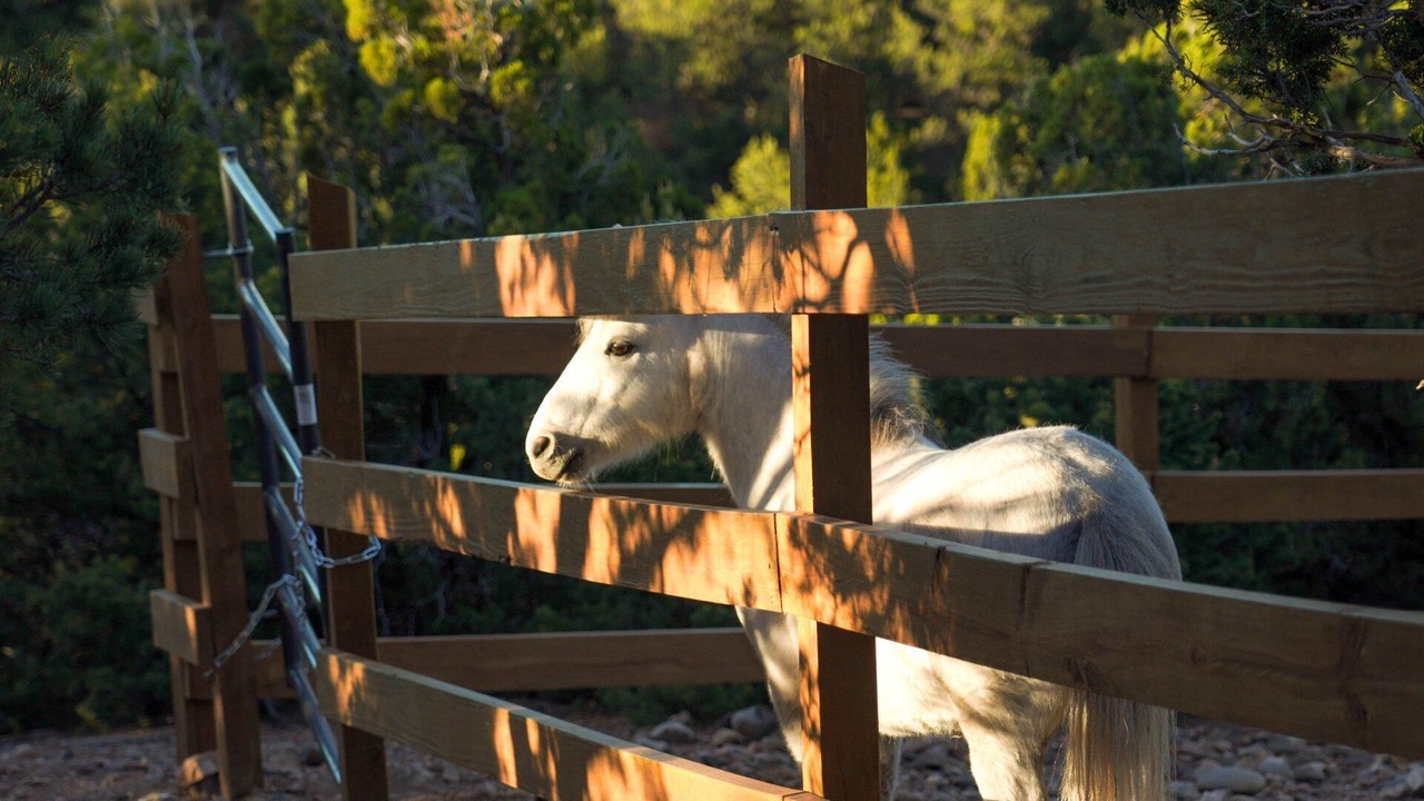 Photo of Outdoor in Cerrillos