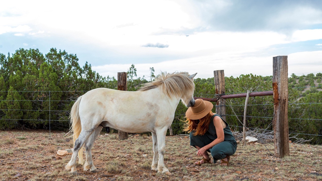 Photo of Others in Cerrillos