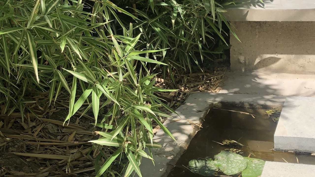 Photo of Outdoor in Graveson