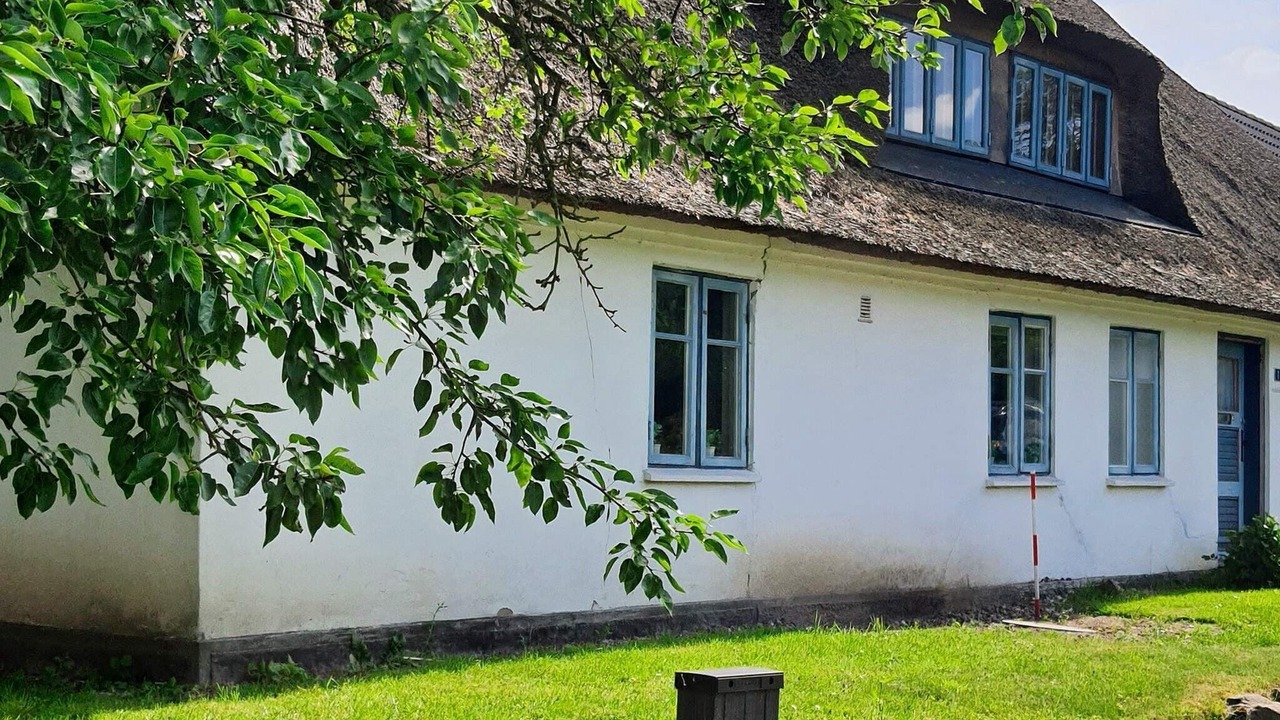 Photo of Outdoor in Asserballeskov