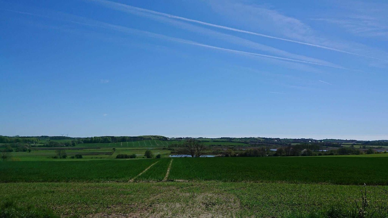 Photo of Others in Asserballeskov