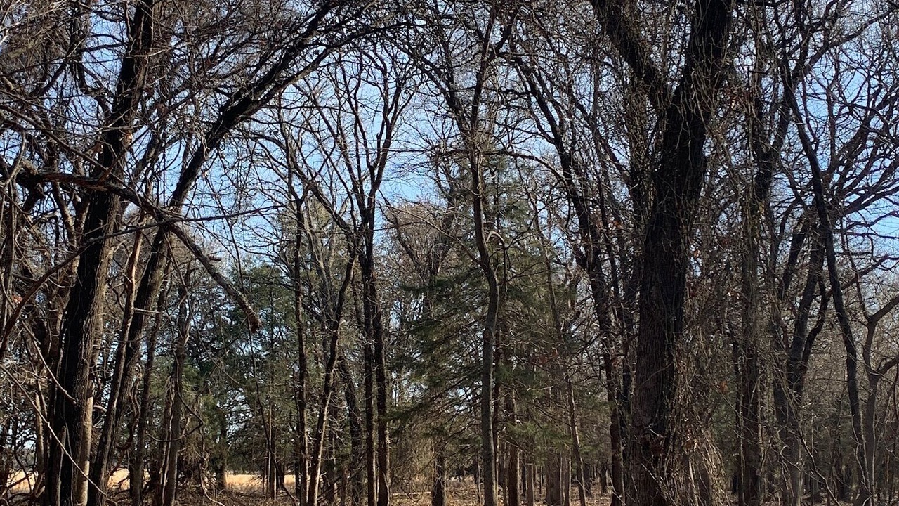 Photo of Outdoor in Gordonville