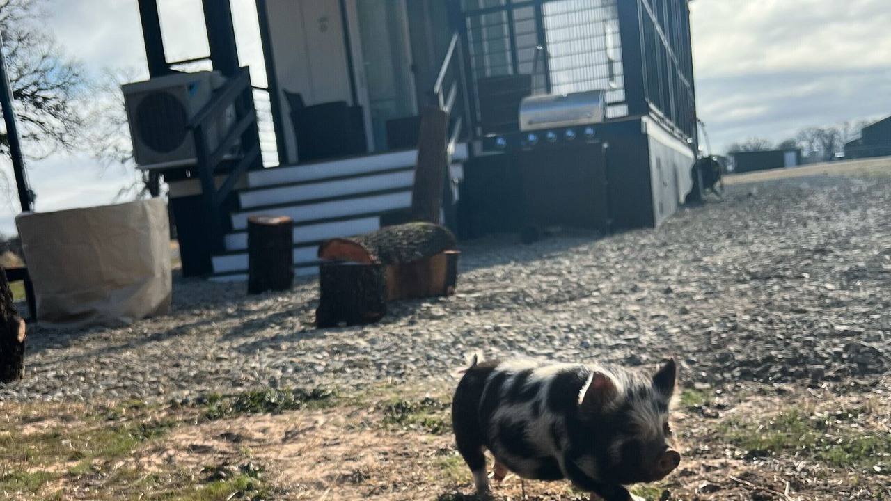 Photo of Outdoor in Gordonville