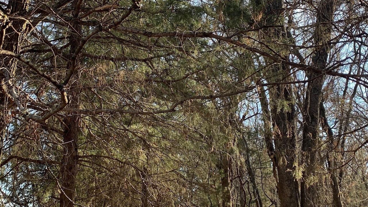 Photo of Outdoor in Gordonville