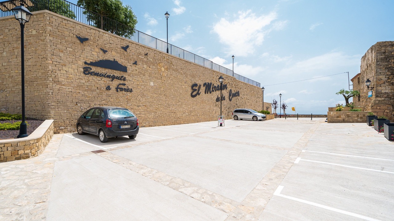 Photo of Outdoor in Fores