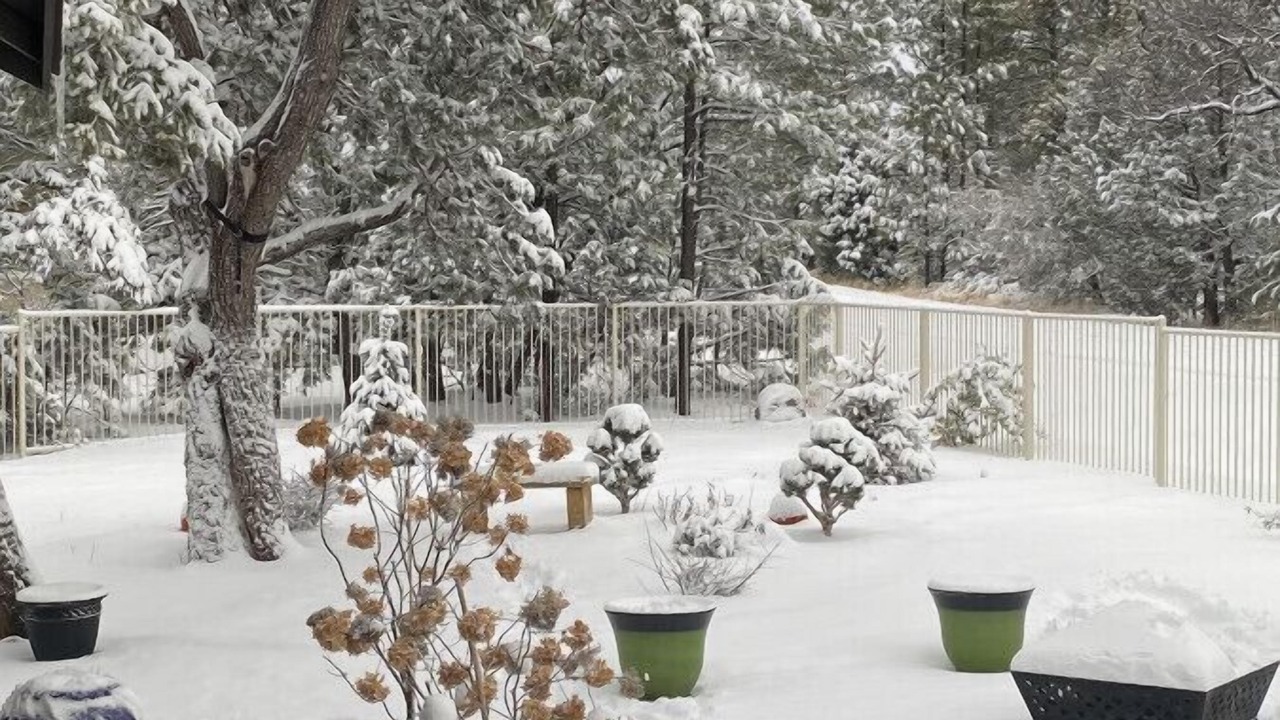 Photo of Others in Pinetop-Lakeside
