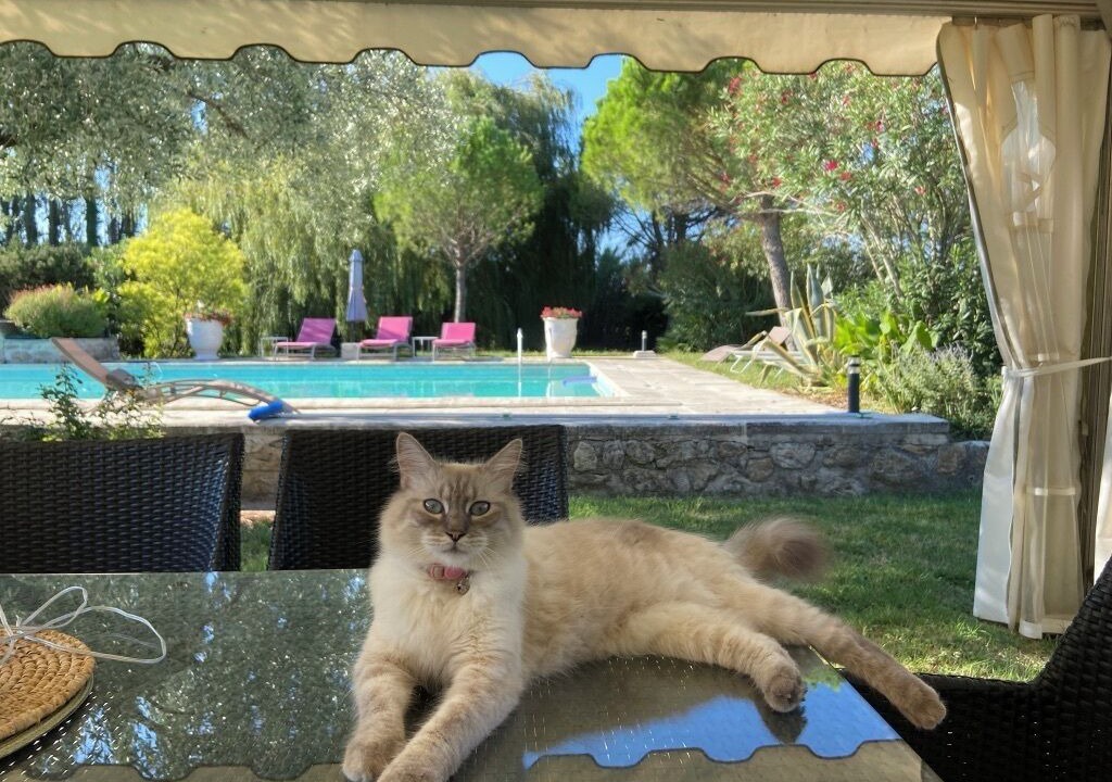 Photo of Outdoor in La Garde-Adhemar