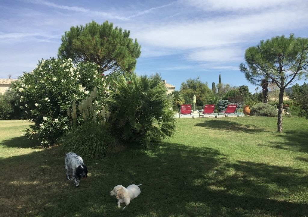 Photo of Outdoor in La Garde-Adhemar