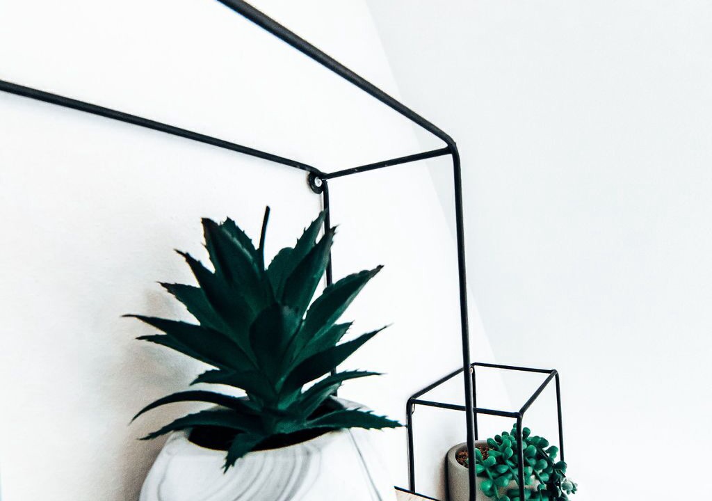 Photo of Others in Perth