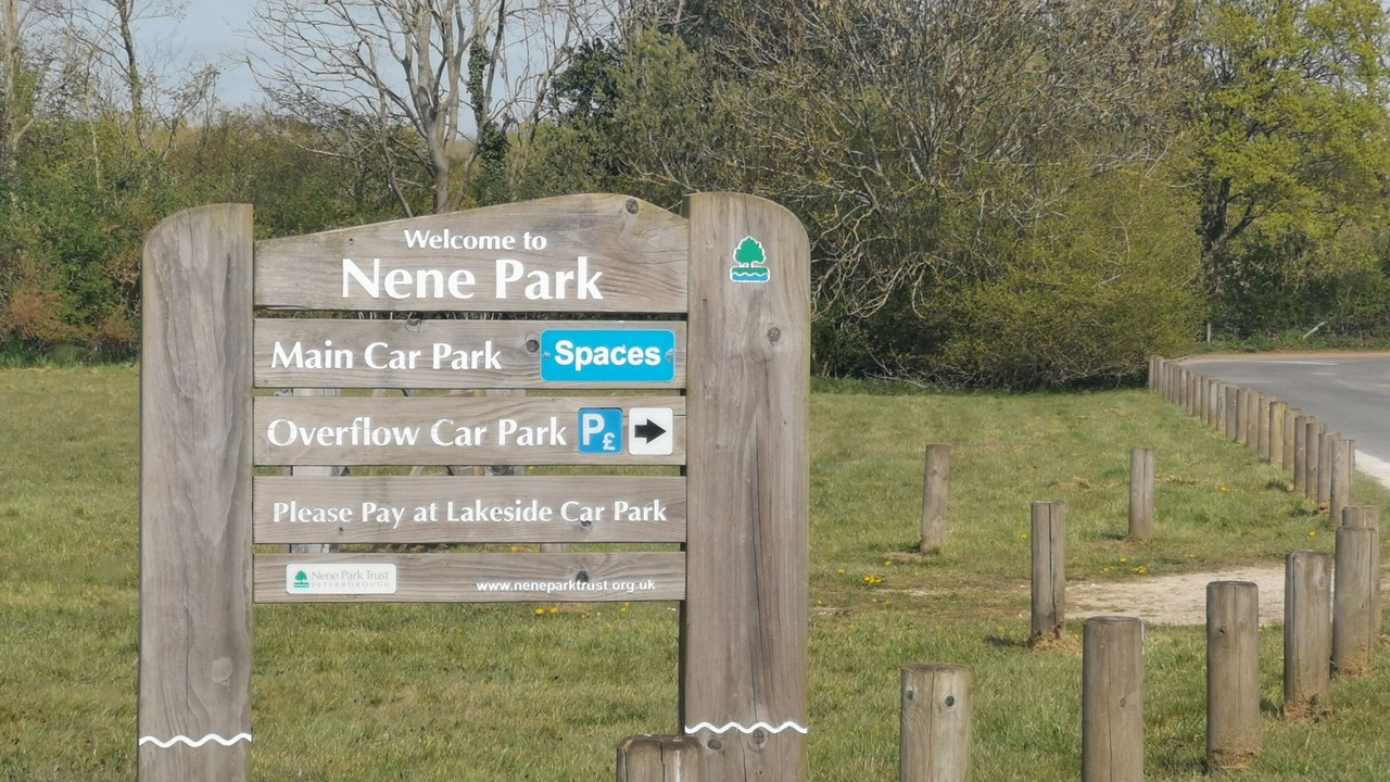 Photo of Others in Peterborough