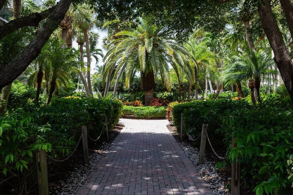 Photo of Outdoor in Captiva
