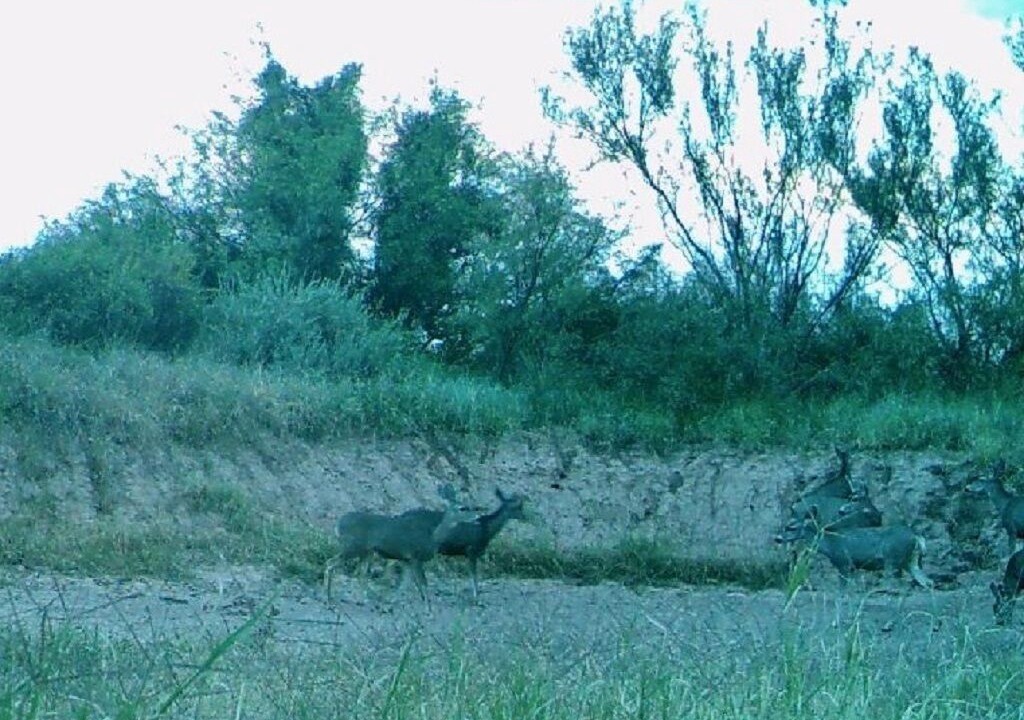 Photo of Others in McNeal