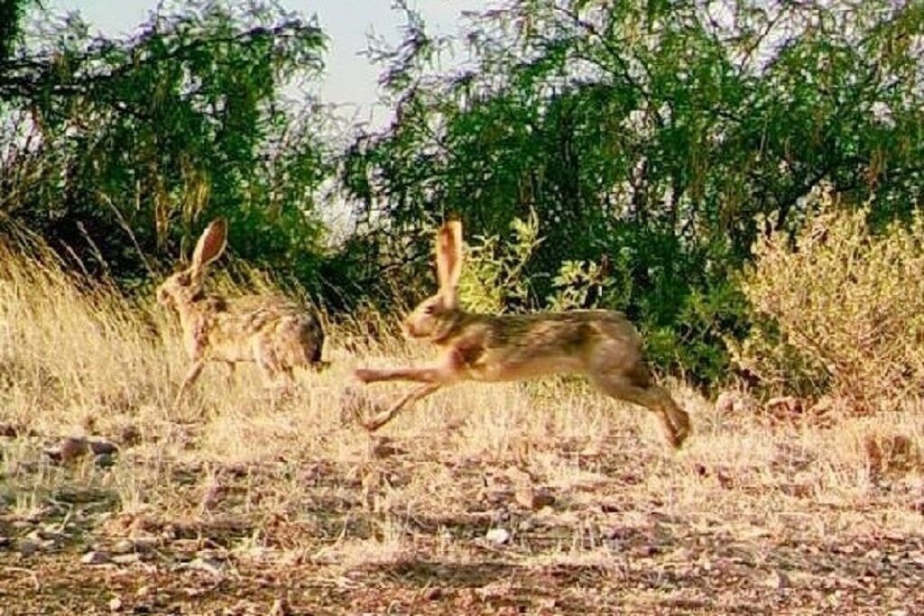 Photo of Others in McNeal