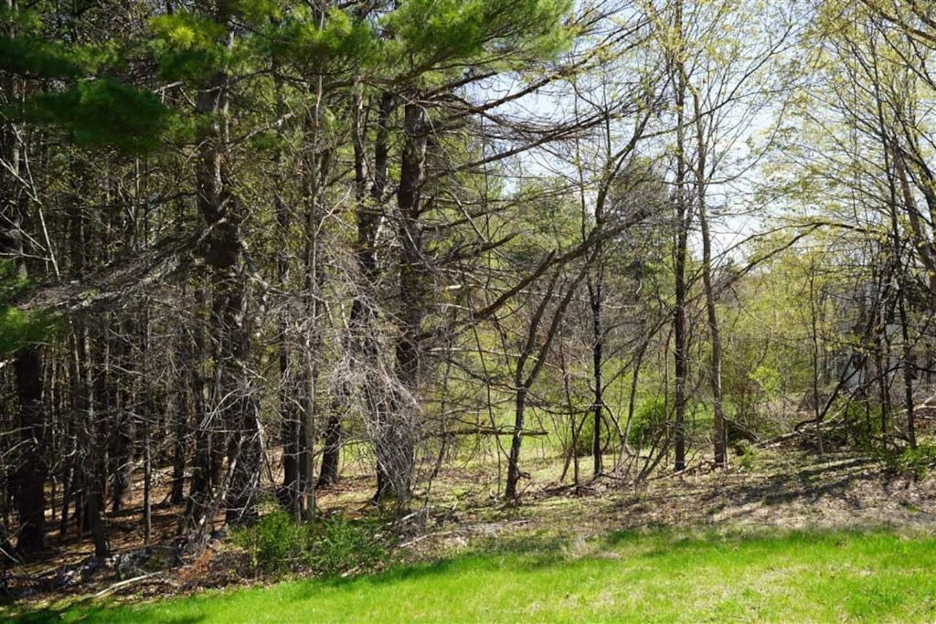 Photo of Outdoor in Cornwallville
