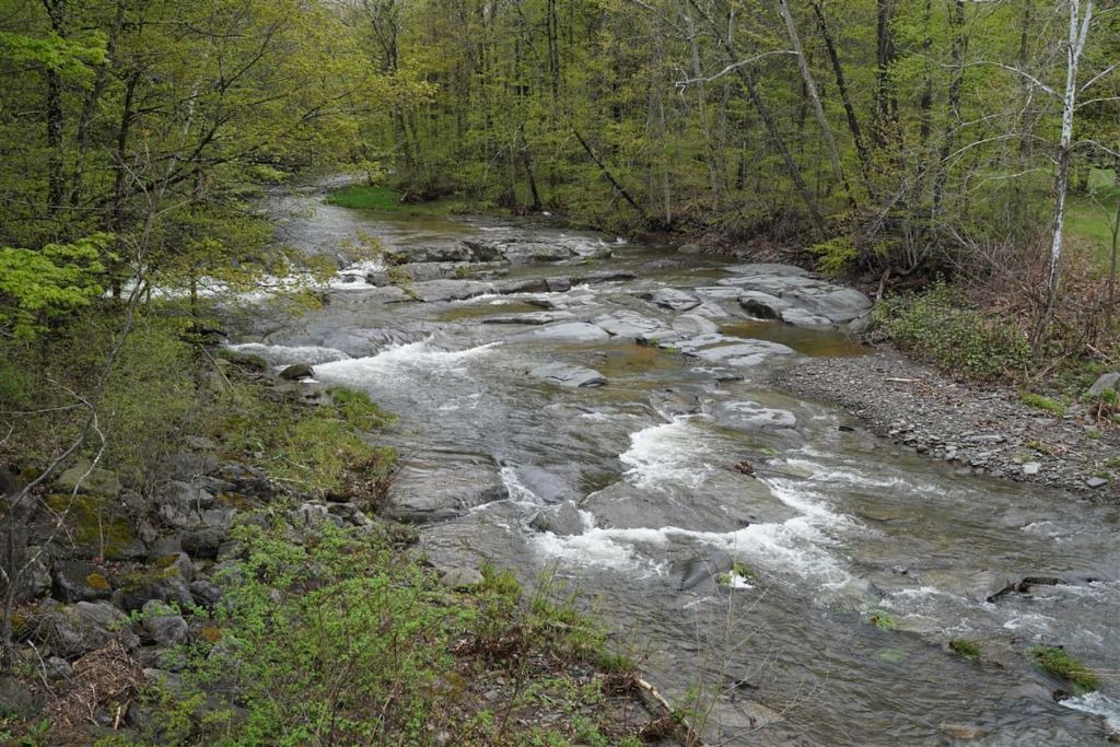 Photo of Others in Cornwallville