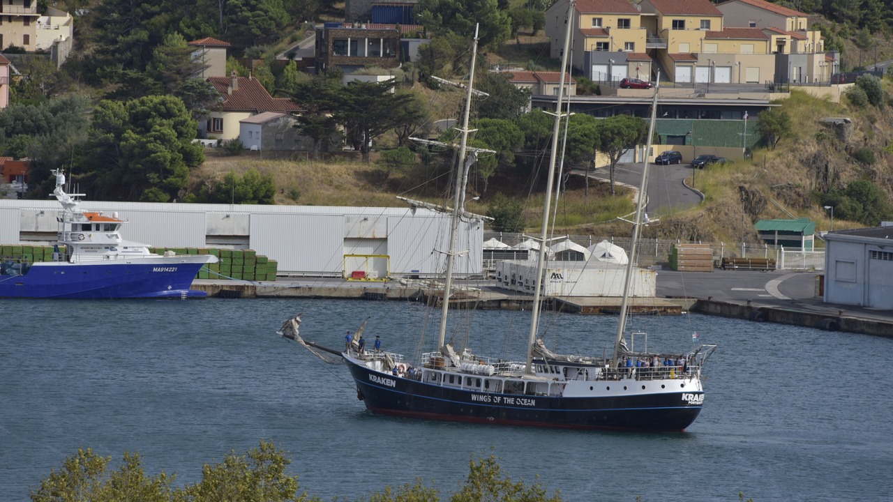 Photo of Others in Port-Vendres