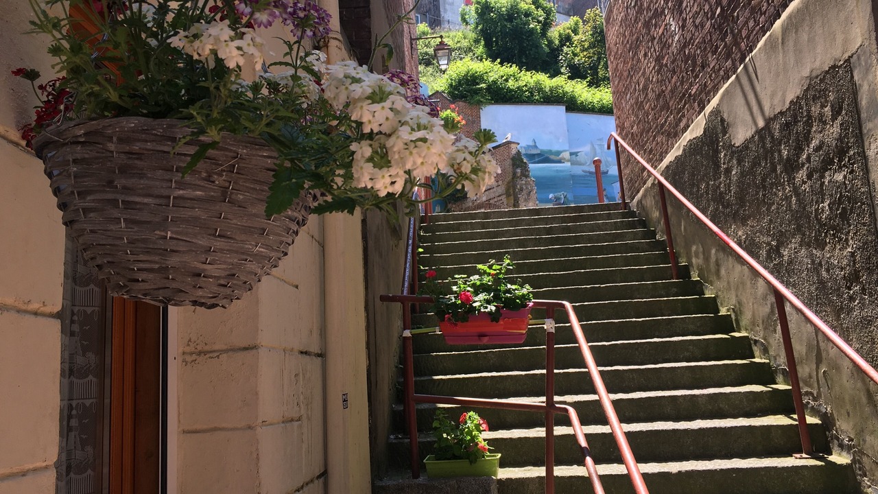 Photo of Outdoor in Le Treport