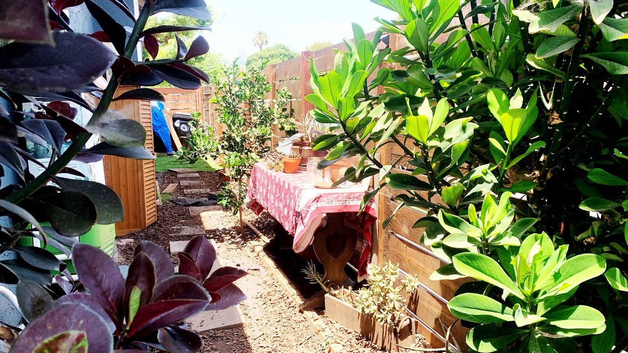 Photo of Outdoor in Logan Heights