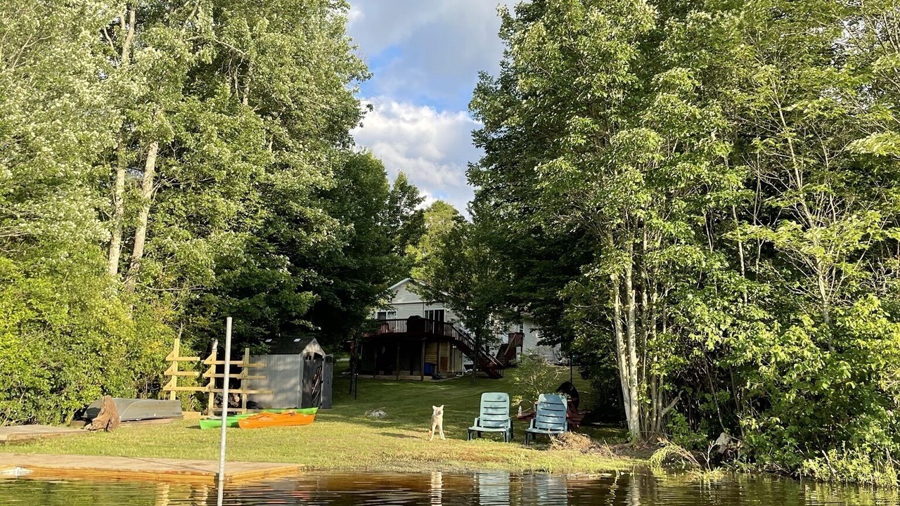 Photo of Outdoor in Swan Lake