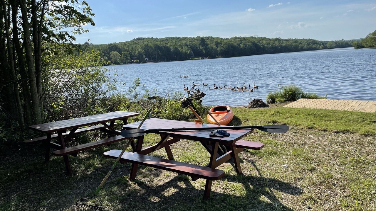 Photo of Outdoor in Swan Lake